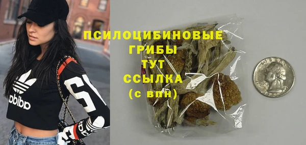 твердый Вяземский