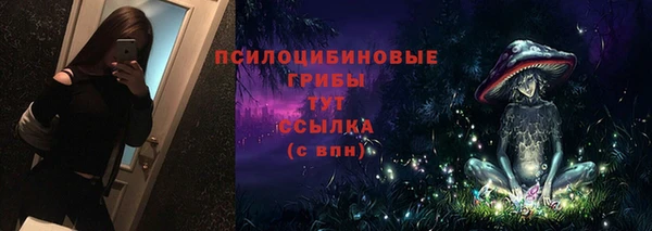 PSILOCYBIN Семёнов