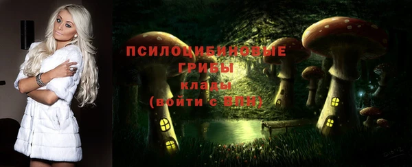 прущий лед Вязники