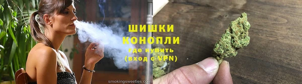 твердый Вяземский