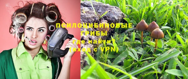 твердый Вяземский