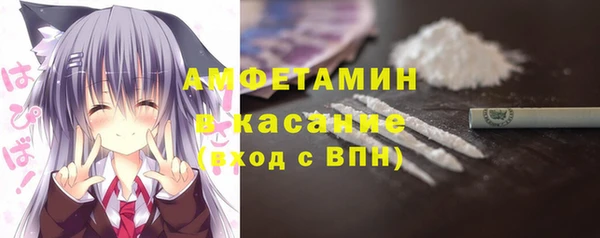 твердый Вяземский