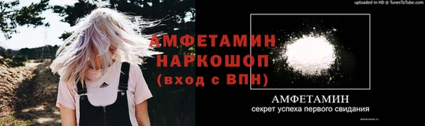твердый Вяземский