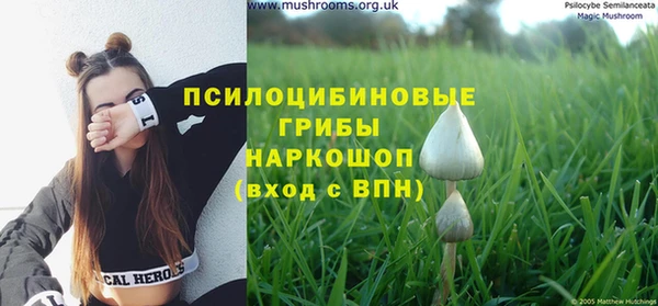 таблы Вязьма