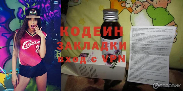 твердый Вяземский