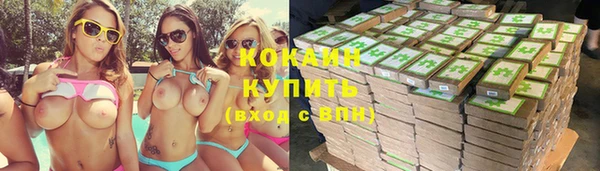 твердый Вяземский