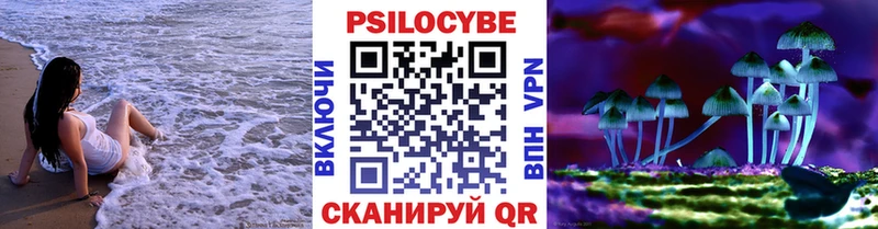 Псилоцибиновые грибы GOLDEN TEACHER  Находка 